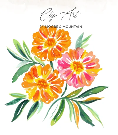 Marigold SVG PNG Digital Download, Orange Floral Clip Art, Orange Flowers PNG, Zinnia Clip Art, Painterly Floral