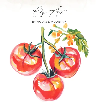 Preppy Clip Art Watercolor Tomato Clipart PNG SVG, Fresh Garden Tomatoes Digital Art, Farmhouse Kitchen Vegetable Illustration Bundle
